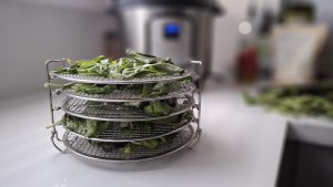 Read more about the article The Most Versatile Accessory for My Instant Pot: Stackable Wire Racks