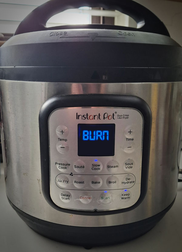Instant Pot Burn Message
